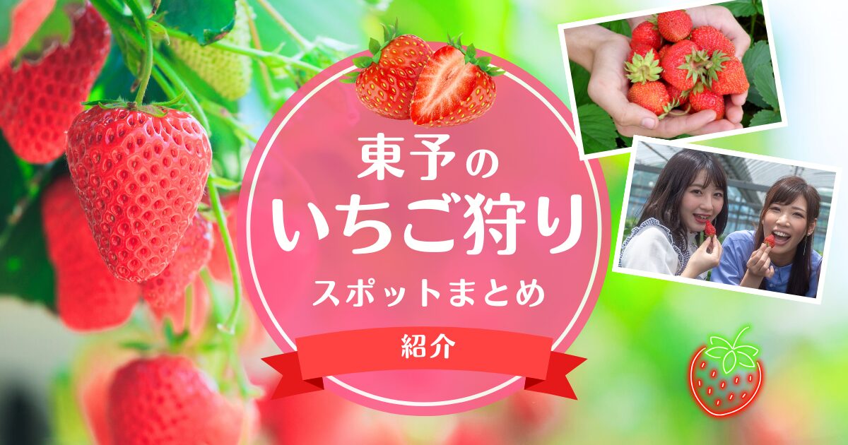 愛媛県東予エリアでおすすめのいちご狩りスポットまとめ
