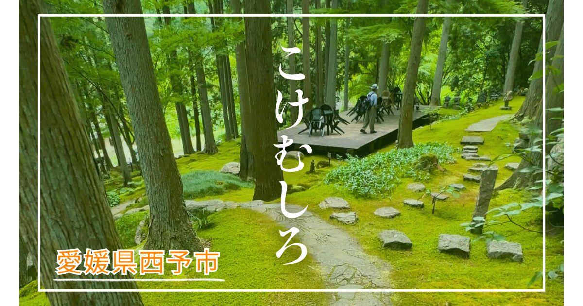 苔の絨毯が広がる秘境カフェ：愛媛県西予市『こけむしろ』を紹介！